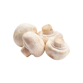 Champiñon Entero Fresco Bolsa