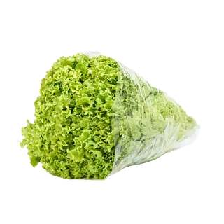 Lechuga Churca